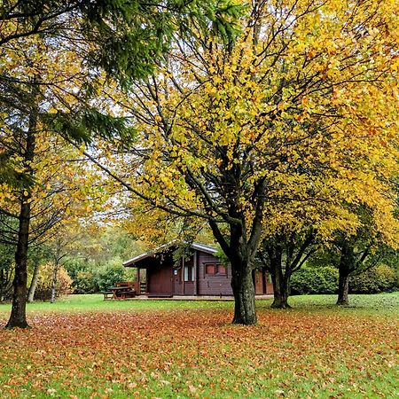 Pinecroft Lodges Ingleton Kültér fotó