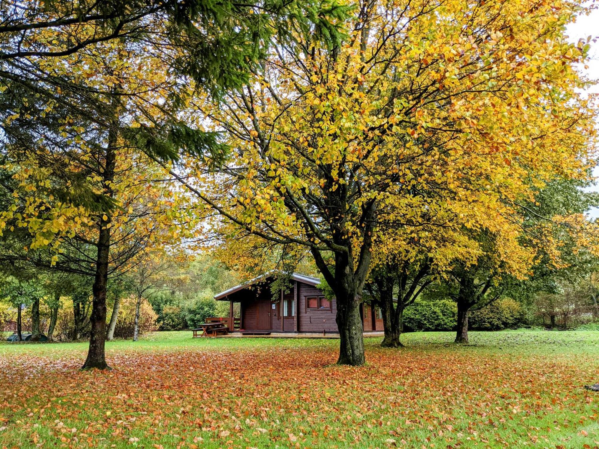 Pinecroft Lodges Ingleton Kültér fotó